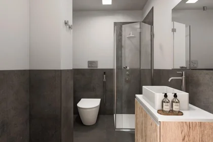 Habitación privada en residencia en Via Tancredi da Pentima, imagen 31 de 34