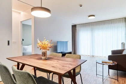 Entire apartment at Rue Adolphe Fischer, image 1 of 7