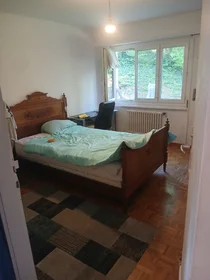 Całe miejsce Chemin de la Vuachère, obraz 4 10