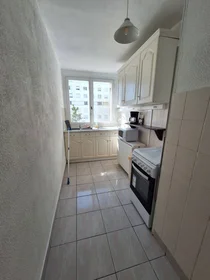 Privatzimmer in der Orléans, 45100, bild 1 von 10