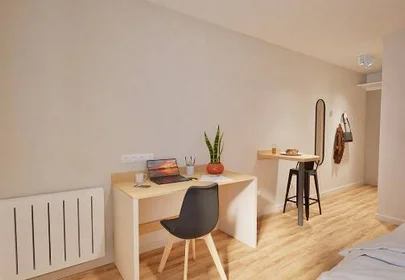 Stanza privata in residence in Tours, 37000, immagine 8 di 15