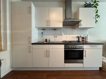 Logement entier à Barestraat, image 1 de 10