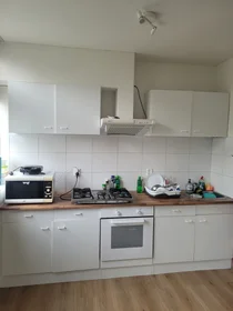 Prywatny pokój Burgemeester Norbruislaan, obraz 4 6