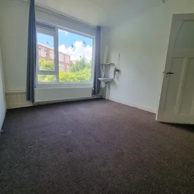 Prywatny pokój Vredeman de Vriesstraat, obraz 1 8