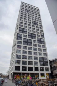 Studio à Stieltjesweg, image 2 de 8