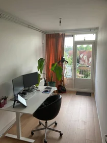 Całe miejsce Aquamarijnlaan, obraz 4 5