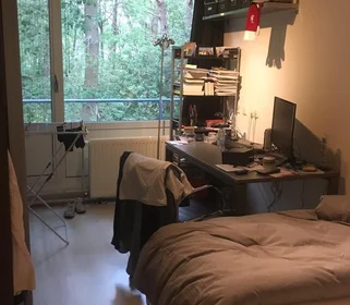 Privatzimmer in der Witbreuksweg, bild 8 von 9