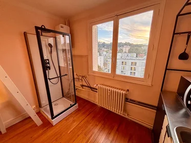 Entire apartment at Boulevard Albert 1er, Boudonville/Scarpone/Libération, image 4 of 8
