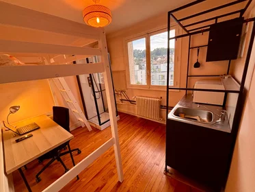 Entire apartment at Boulevard Albert 1er, Boudonville/Scarpone/Libération, image 5 of 8
