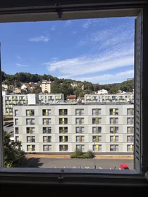 Entire apartment at Boulevard Albert 1er, Boudonville/Scarpone/Libération, image 7 of 8