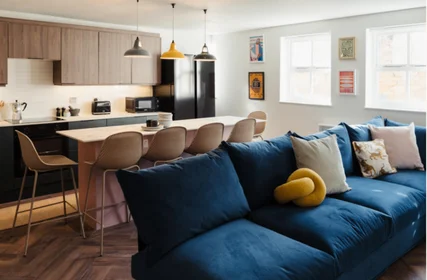 Logement entier en résidence à Holland Drive, Off Barrack Rd, Newcastle upon Tyne NE2 4LB, image 15 de 44