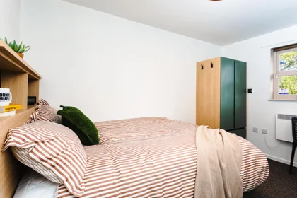 Logement entier en résidence à Holland Drive, Off Barrack Rd, Newcastle upon Tyne NE2 4LB, image 16 de 44
