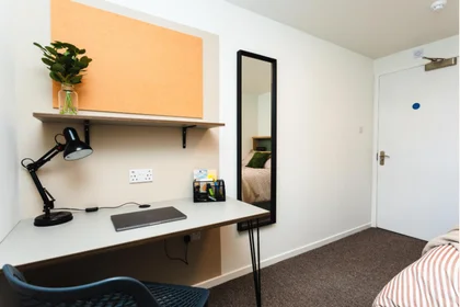 Logement entier en résidence à Holland Drive, Off Barrack Rd, Newcastle upon Tyne NE2 4LB, image 27 de 44