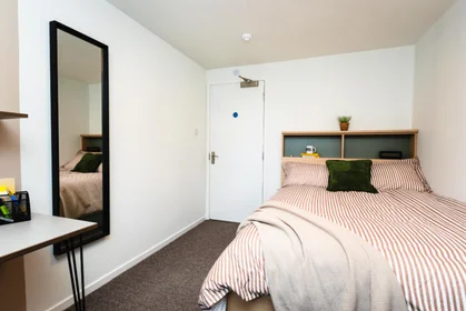 Logement entier en résidence à Holland Drive, Off Barrack Rd, Newcastle upon Tyne NE2 4LB, image 28 de 44