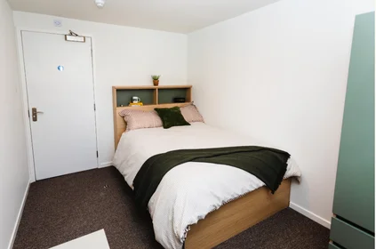 Logement entier en résidence à Holland Drive, Off Barrack Rd, Newcastle upon Tyne NE2 4LB, image 29 de 44