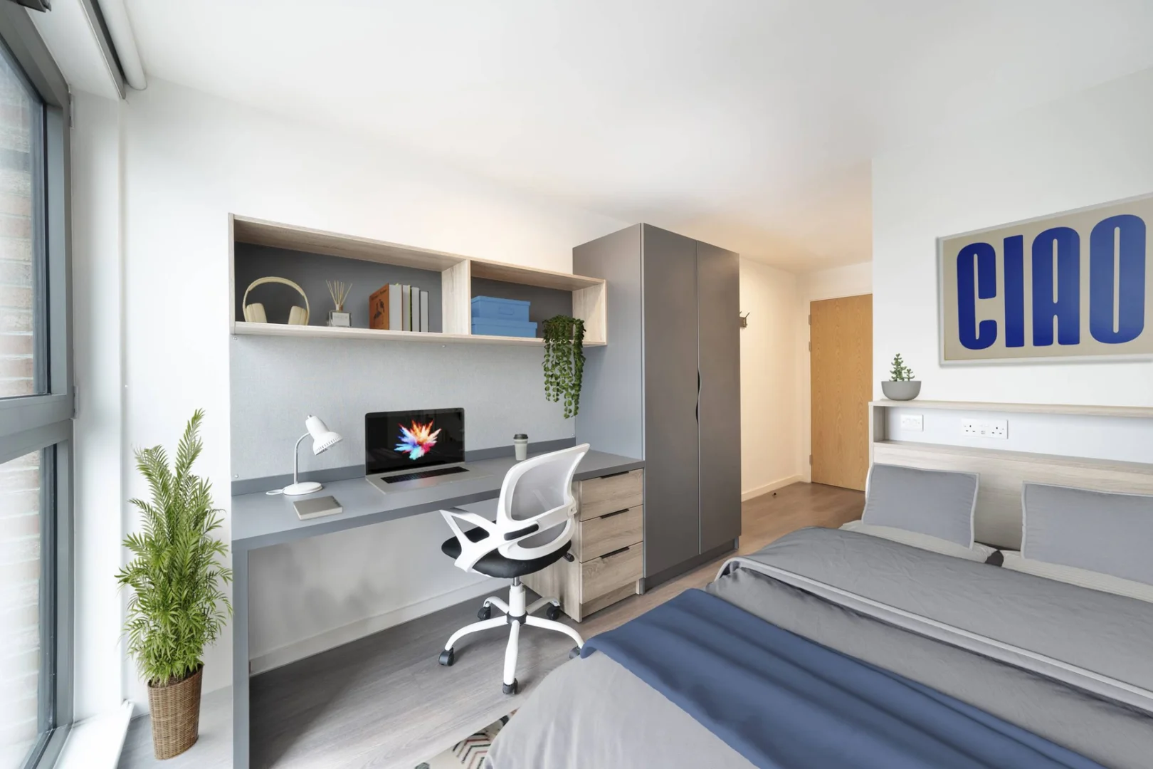 Affordable room for students with ample lighting in