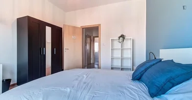 Prywatny pokój Viale Giacomo Matteotti, obraz 3 11