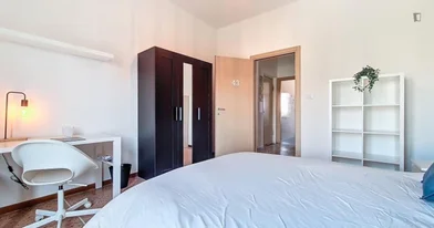 Prywatny pokój Viale Giacomo Matteotti, obraz 4 11
