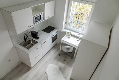 Apartamento inteiro em Péterfy Sándor utca 27, imagem 20 de 32