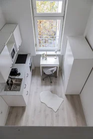 Apartamento inteiro em Péterfy Sándor utca 27, imagem 24 de 32