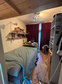 Chambre privée à Hugo de Grootstraat, image 8 de 9