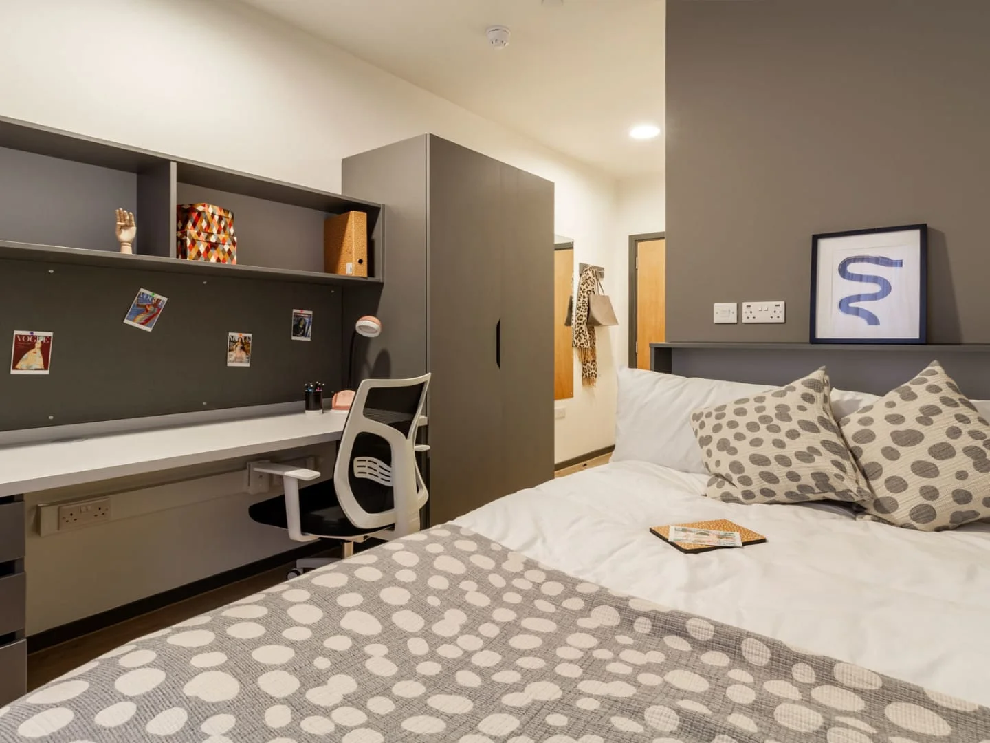 Affordable room for students with ample lighting in 