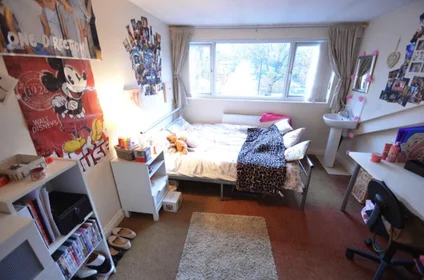整套公寓 在住宅内 在 124 Belle Vue Rd, Leeds LS3 1HF, UK, 33的图像9