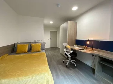 Privatzimmer im Wohnheim in der 17 Hollis Croft, Sheffield City Centre, Sheffield S1 4NQ, United Kingdom, bild 3 von 37