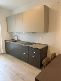 Habitación privada en Via Ermete Zacconi, imagen 5 de 11