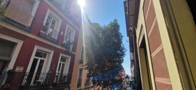 Alojamiento entero en Calle del Amparo, imagen 30 de 32