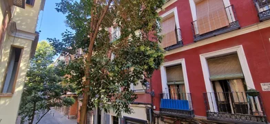 Alojamiento entero en Calle del Amparo, imagen 32 de 32