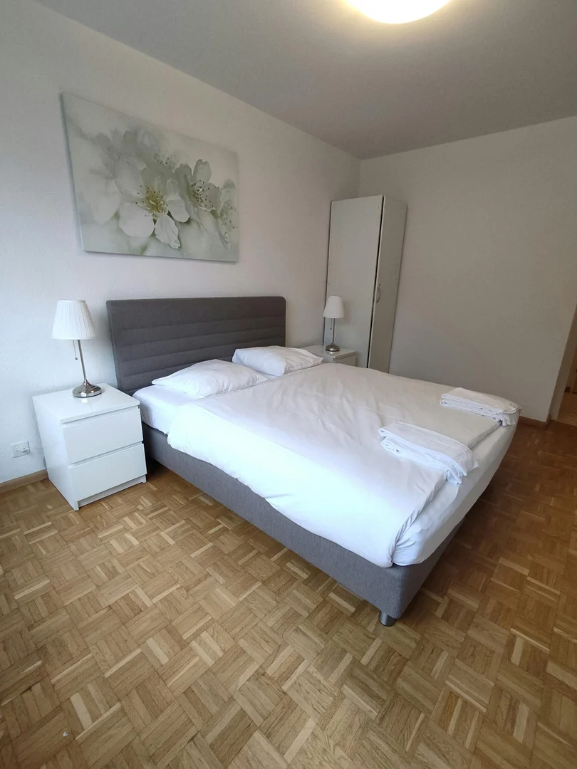 Niedrogi pokój studencki blisko kampusu w 