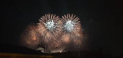 私人房间 在 Cannes, 06400, 17的图像15