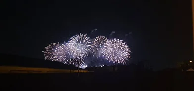 私人房间 在 Cannes, 06400, 17的图像16