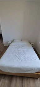 私人房间 在 Cannes, 06400, 17的图像7