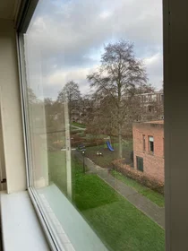 Entire apartment at Nicolaas Beetsstraat, image 3 of 8