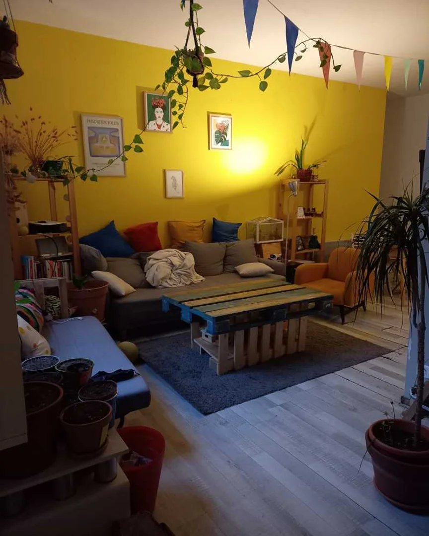 'da üniversiteye kolay erişime sahip aydınlık ve havadar öğrenci odası