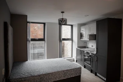 Stanza privata in residence in Volume Works, 37 - 40 Hanley St, Birmingham B19 3SP, United Kingdom, immagine 36 di 49