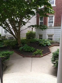 Całe miejsce w rezydencji 41, Bowdoin St., Unit 42, Neighborhood Nine, Cambridge, MA, 02138, obraz 5 19