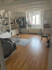 Prywatny pokój Waalkade, obraz 1 6
