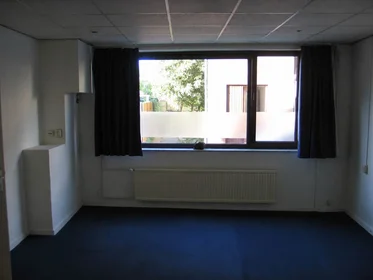 Kawalerka Lochterstraat, obraz 1 5