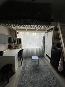 Chambre privée à Willem Lorestraat, image 1 de 5