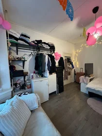 Chambre privée à Willem Lorestraat, image 1 de 3