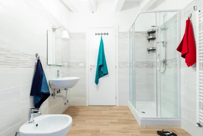 Quarto privado em Viale Alfredo Oriani, imagem 17 de 23