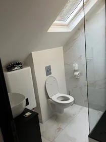 Entire apartment at Rue de Lemery, image 2 of 11