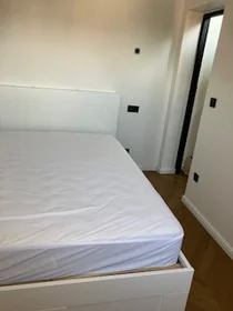 Entire apartment at Rue de Lemery, image 11 of 11