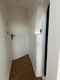Entire apartment at Rue de Lemery, image 4 of 11