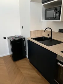 Entire apartment at Rue de Lemery, image 6 of 11