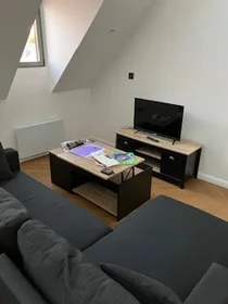 Entire apartment at Rue de Lemery, image 7 of 11