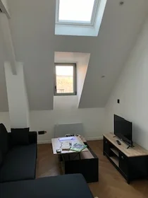 Entire apartment at Rue de Lemery, image 8 of 11